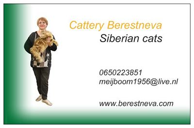 Cattery Berestneva