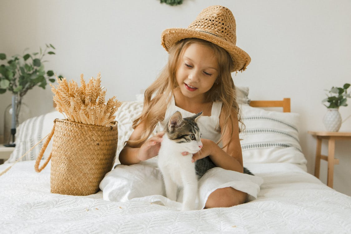 Kinderen en kittens: Zo leer je ze beide verantwoordelijkheid | Blog KittenTeKoop