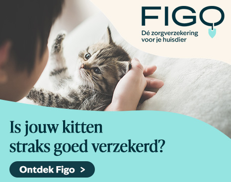 Figopet. Dé zorgverzekering voor je huisdier