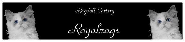 Cattery Royalrags